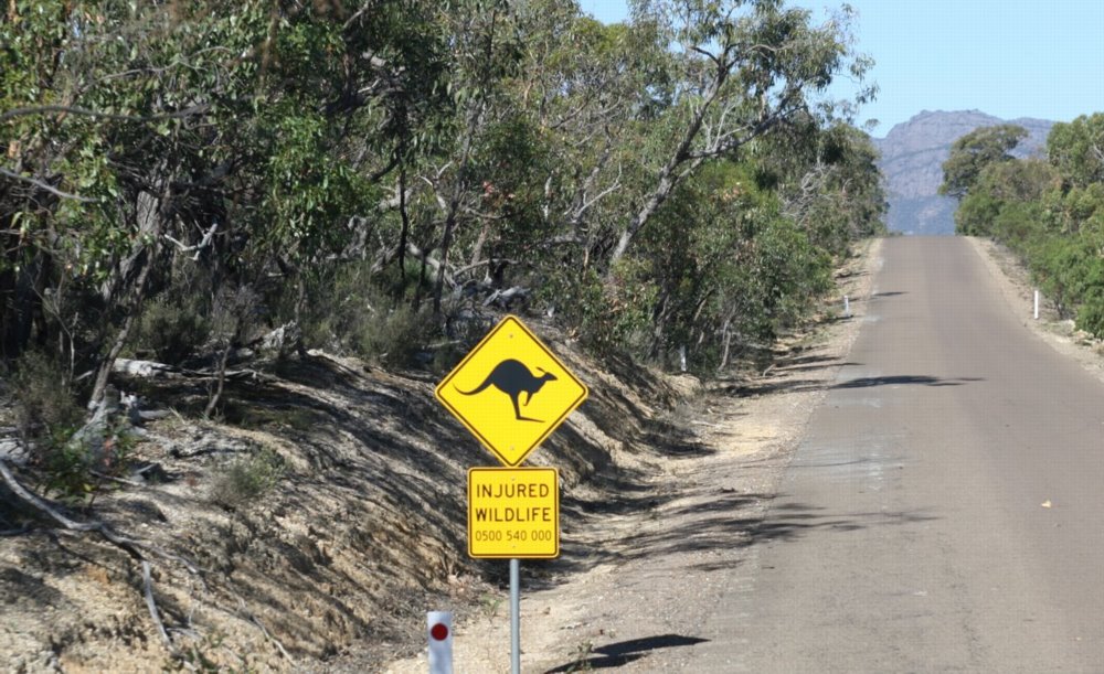 Kangaroo warning sign beside a rural Australian road
