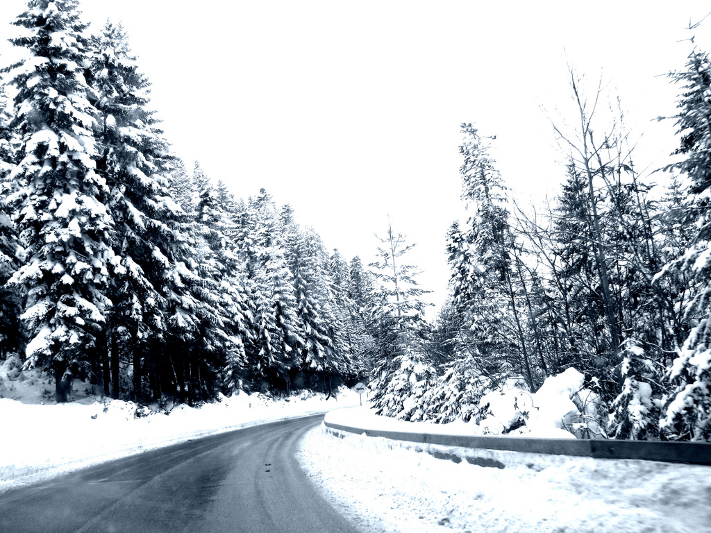 A snow-covered road through the Jahorina mountain area
