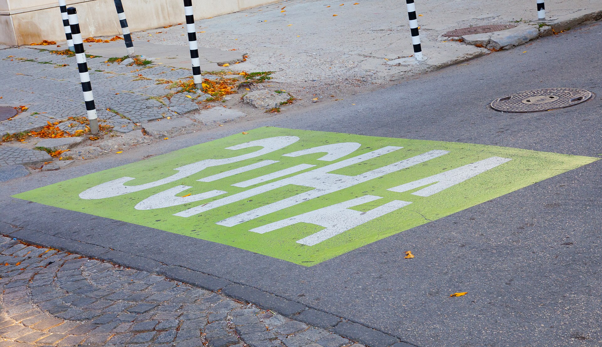 Green-zone parking marking on a Sofia street