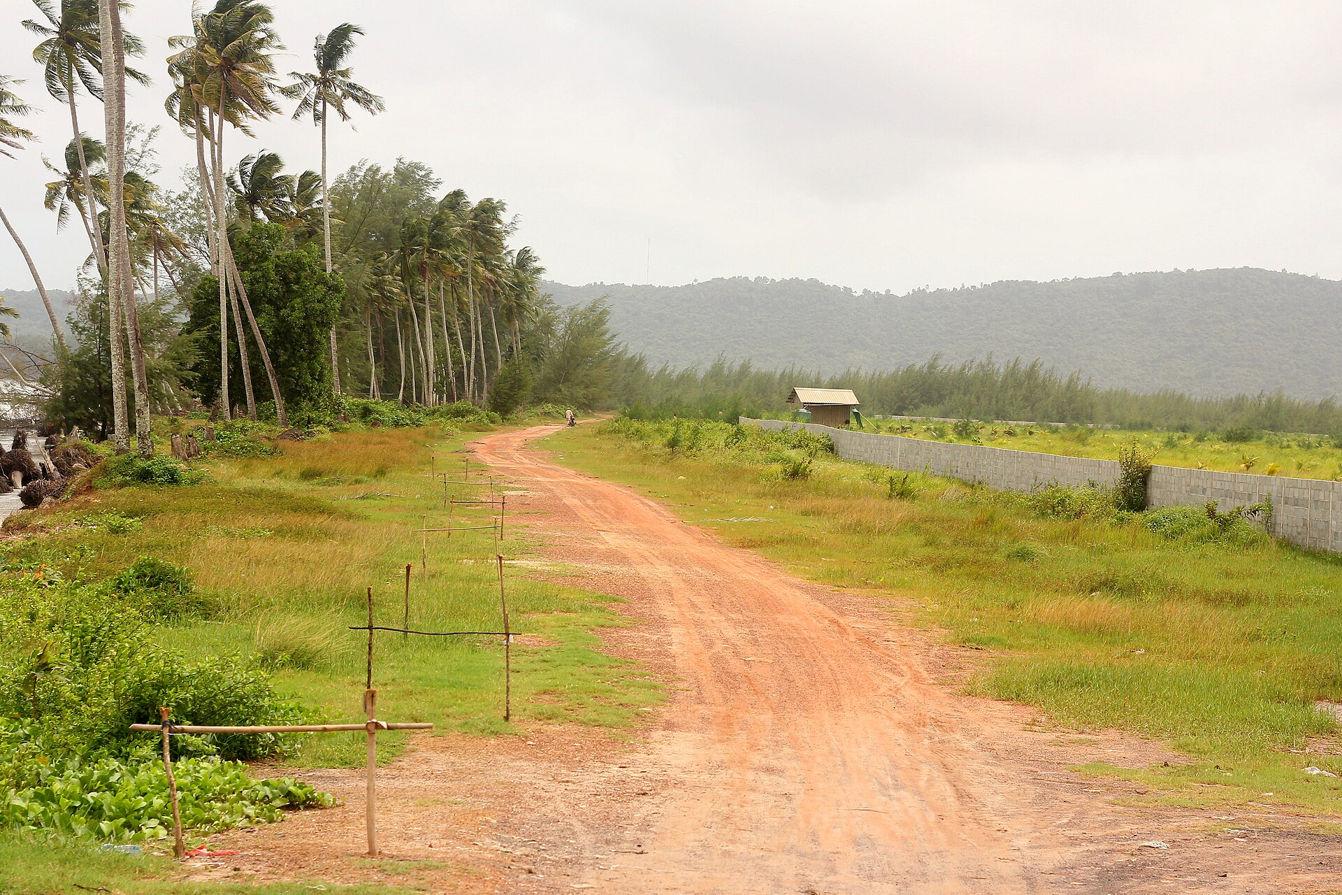 Unsealed rural road through greenery in Cambodia