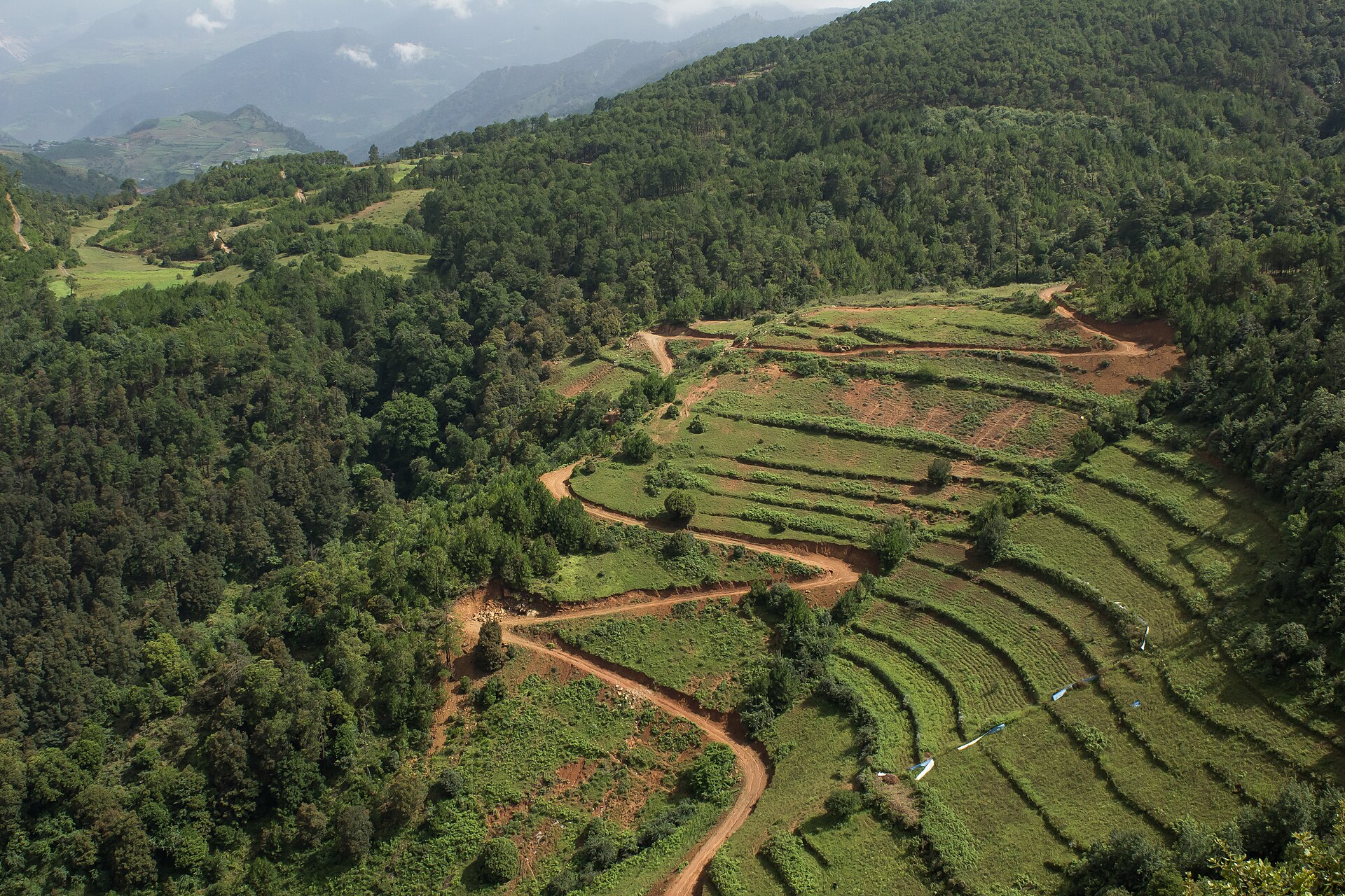 Mountain road winding through a green landscape in Yunnan