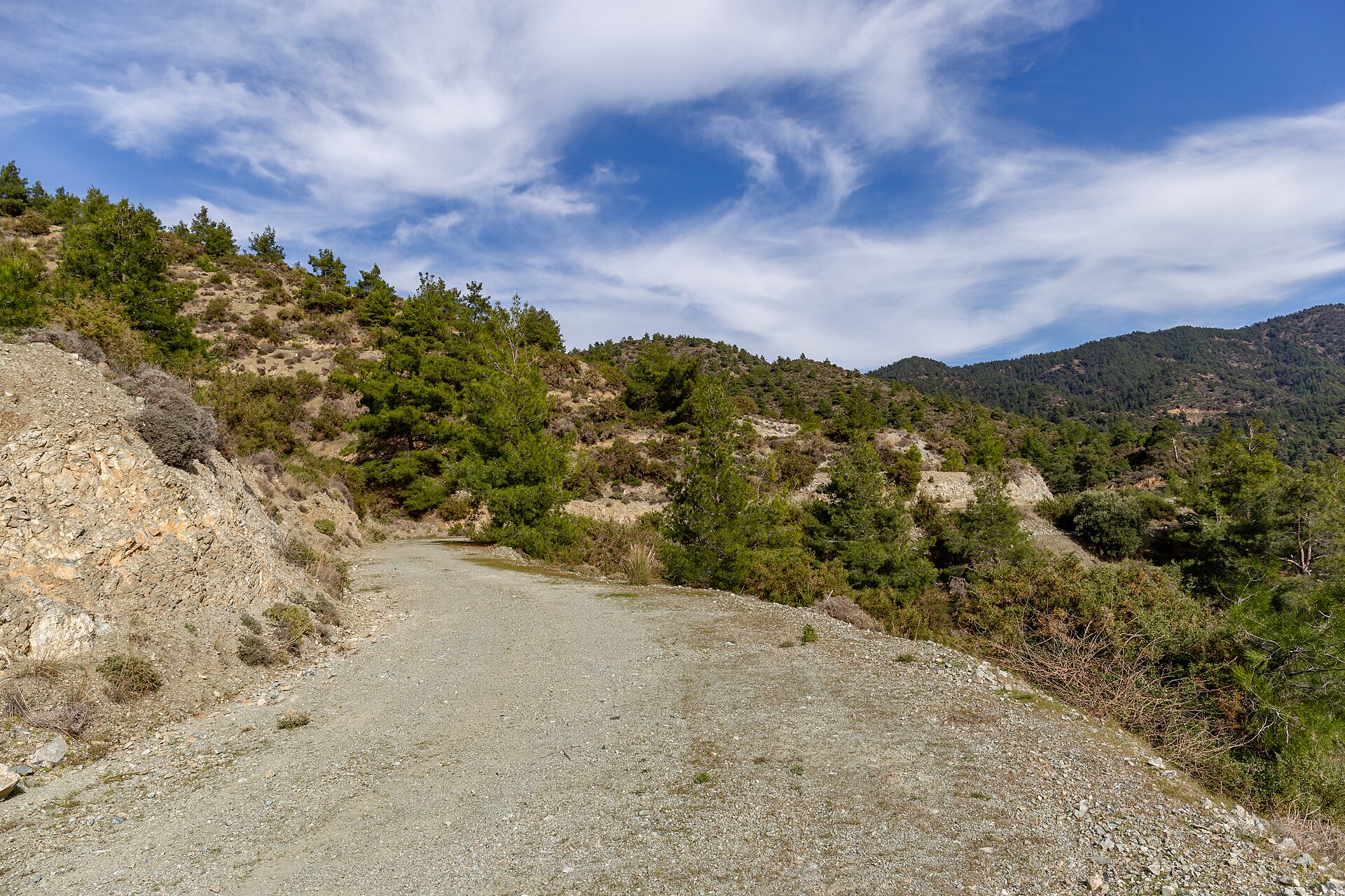 Forest road winding through the Troodos Mountains in Cyprus