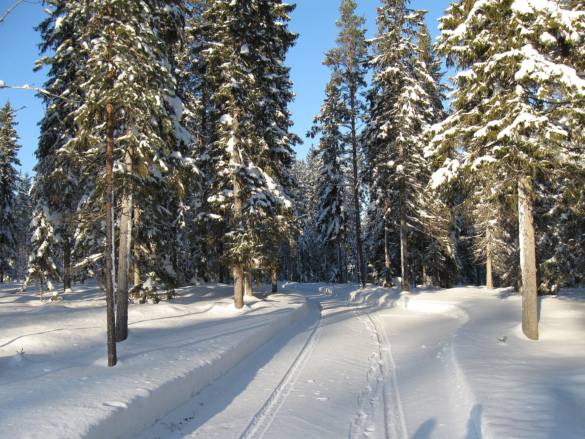 A snow-cleared road in Finland between trees