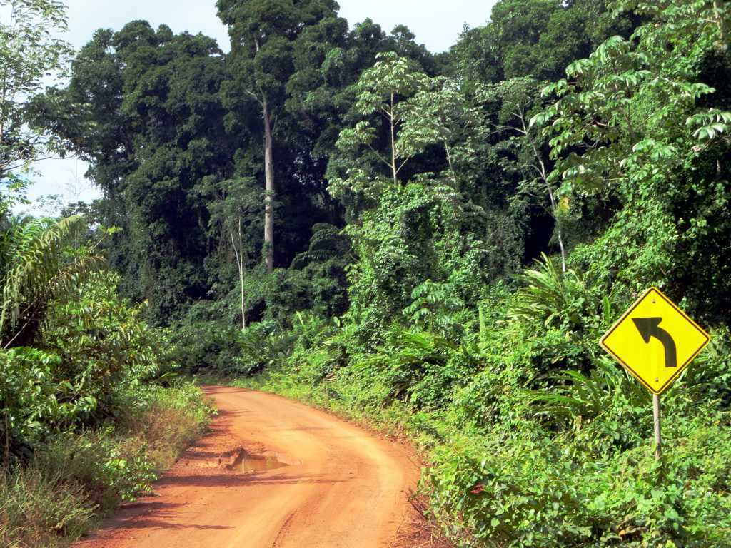 Linden-Lethem Road in Guyana leading through a remote green landscape