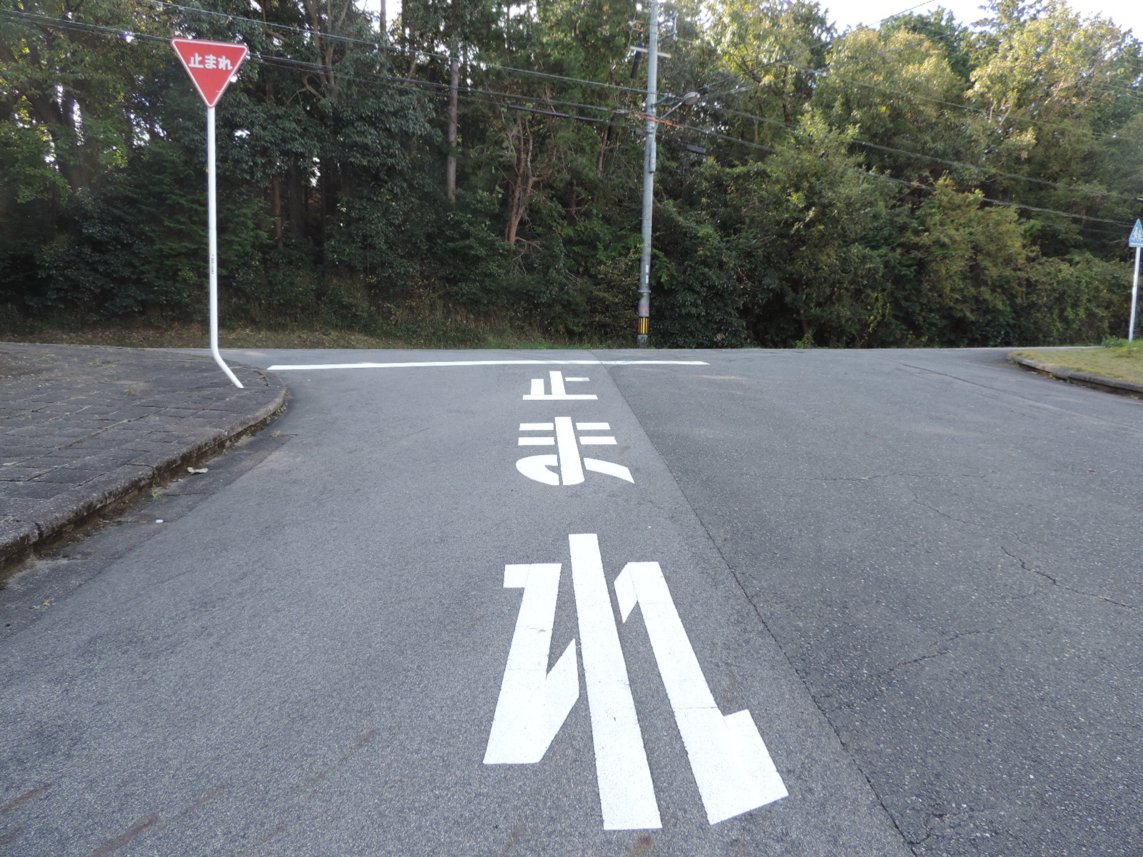Japanese triangular stop sign and 止まれ road marking