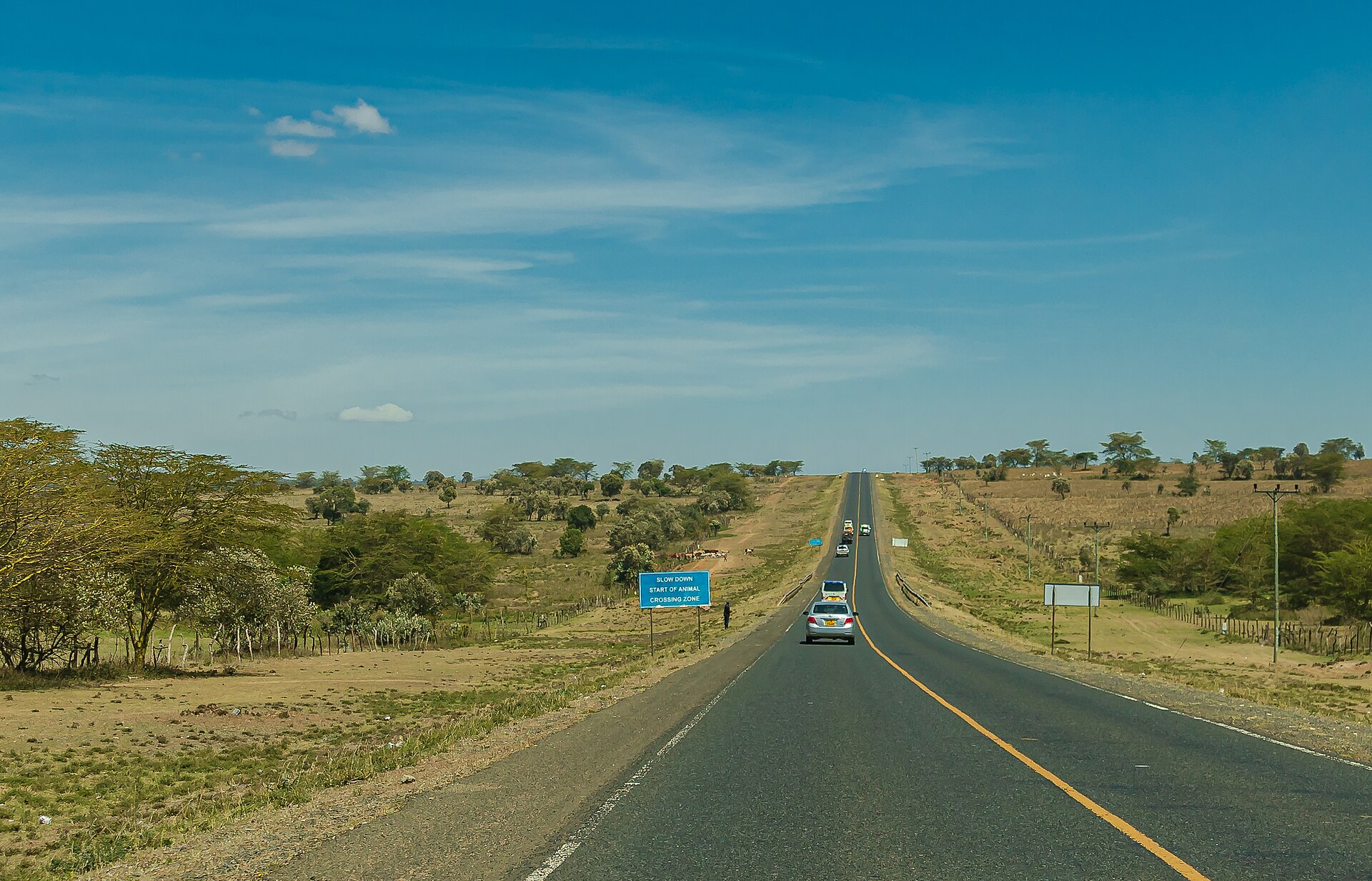 Paved road through Kenya's Rift Valley with a slow-down animal crossing sign