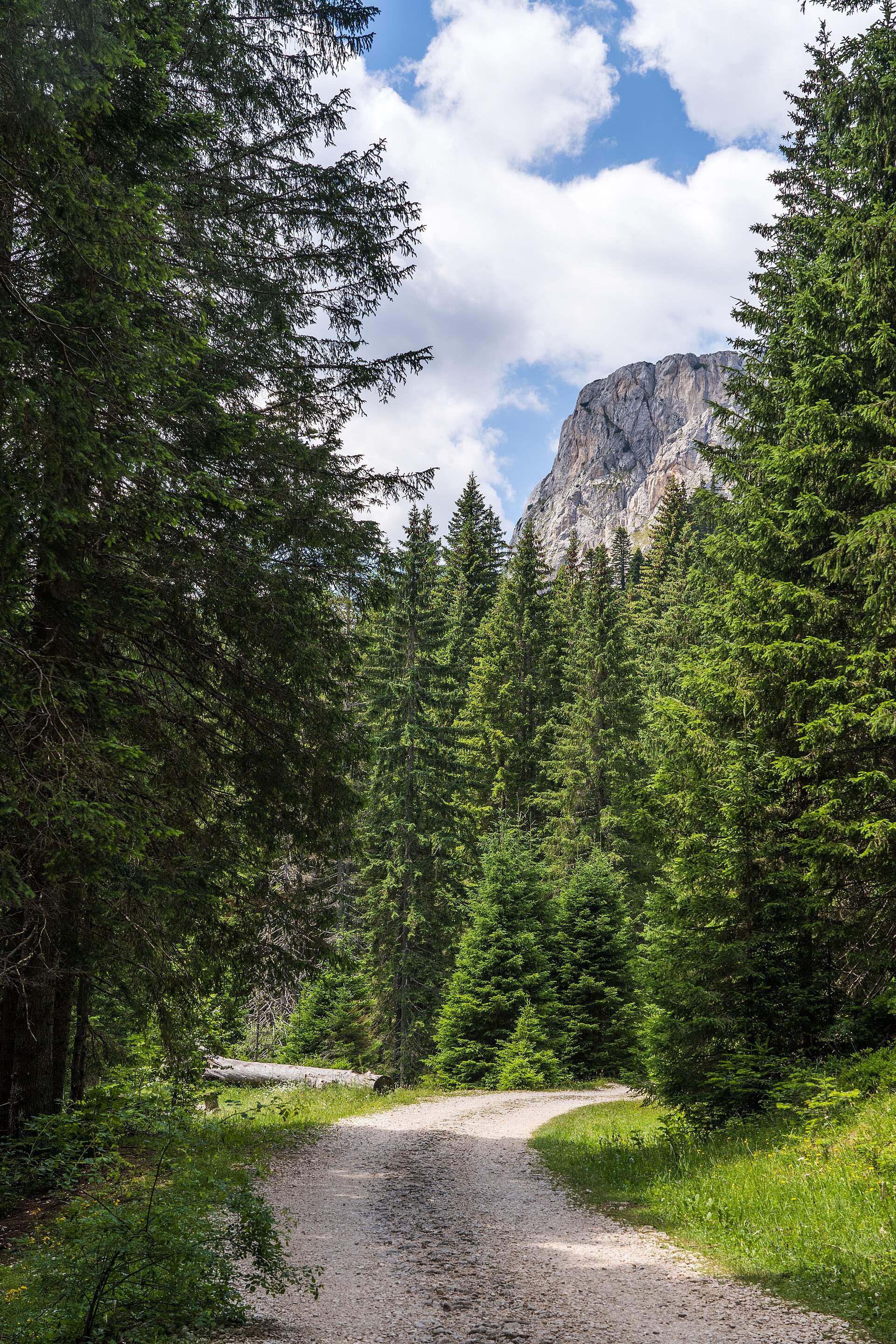 Narrow road toward Zminje Lake in Durmitor National Park