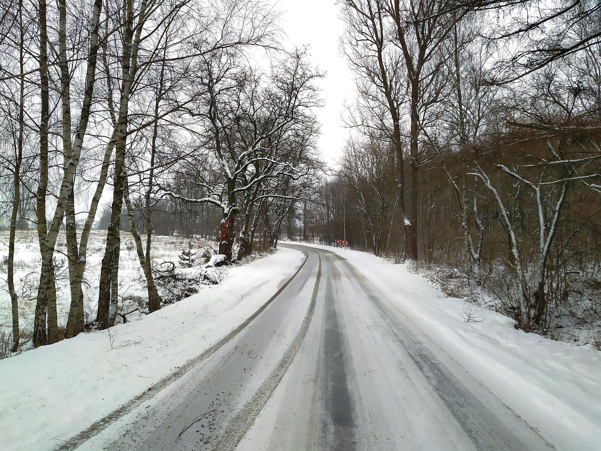 Snow-covered road near Lutkówka in Masovia
