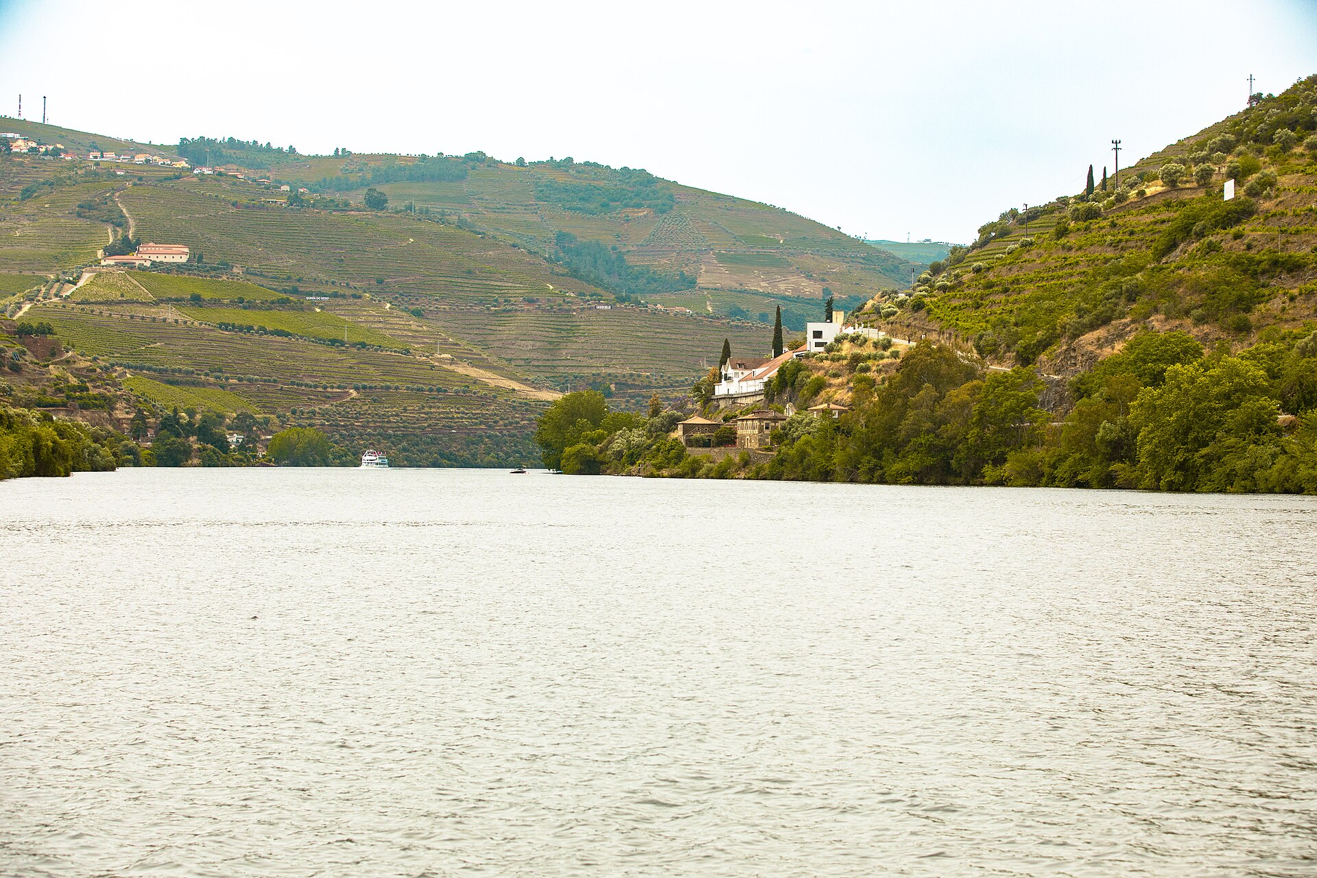 Terraced vineyards and the Douro River in northern Portugal
