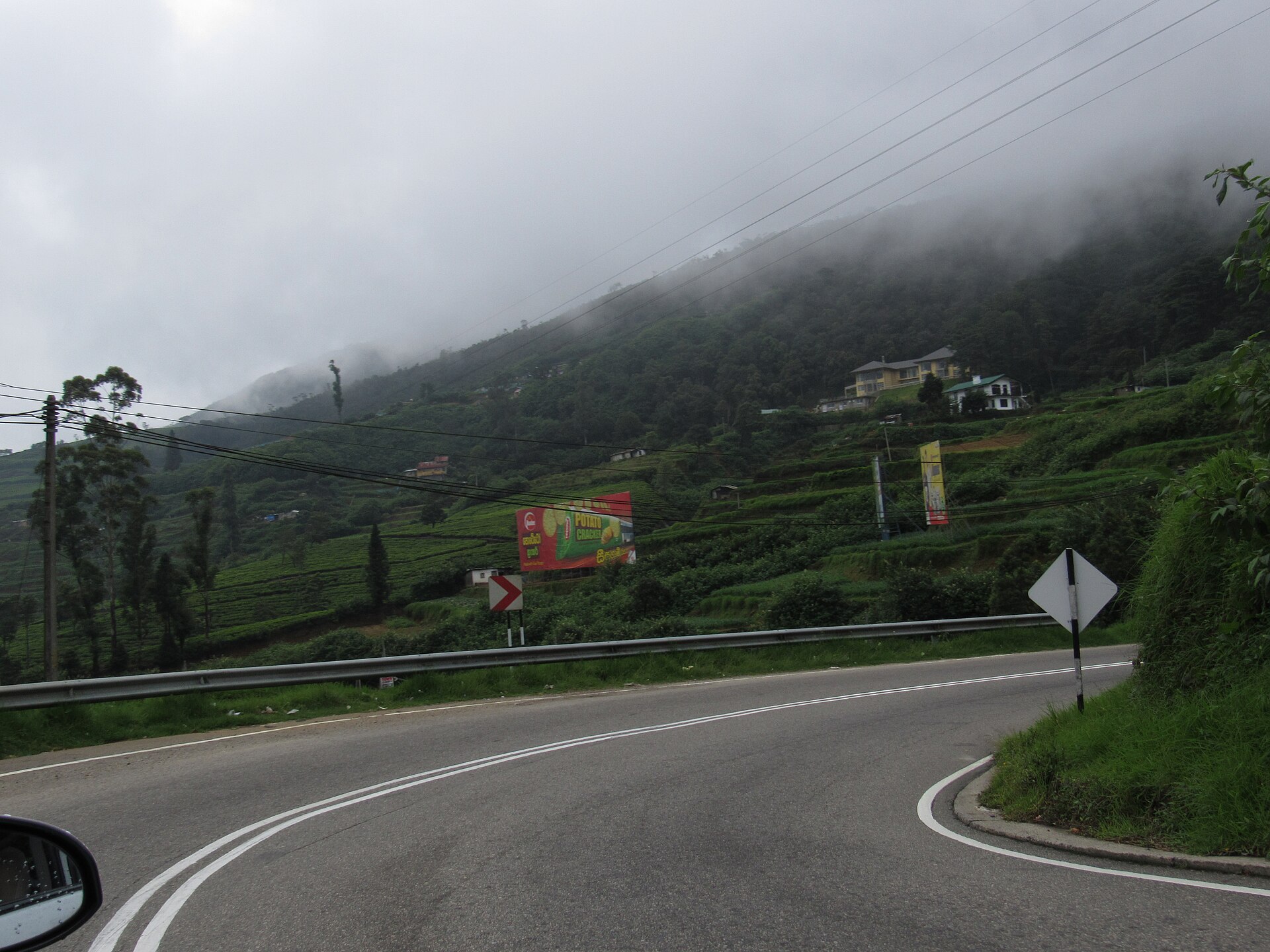 Misty mountain road beside tea gardens near Nuwara Eliya, Sri Lanka