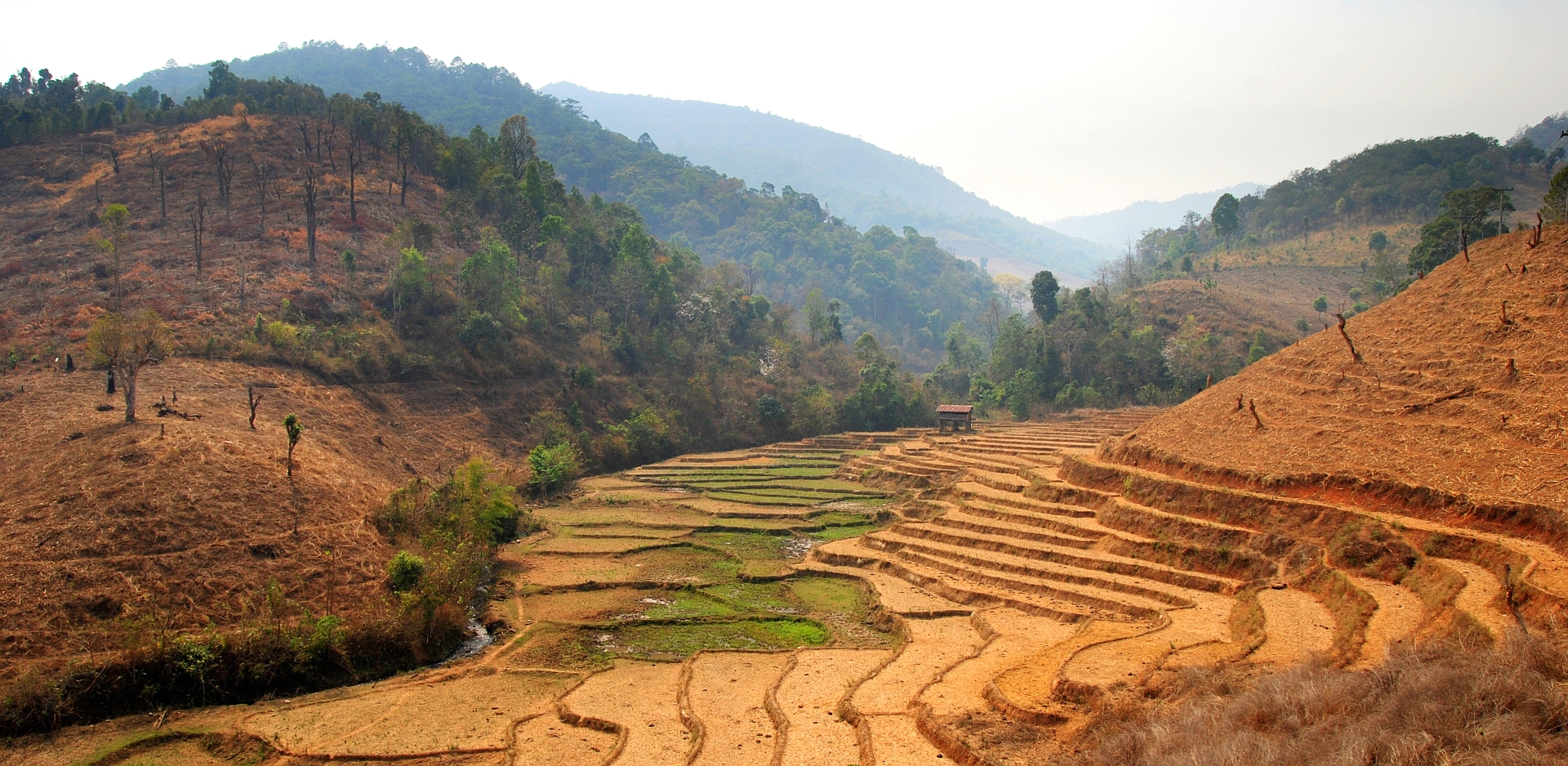 Highway 1263 through farmland near Chiang Mai