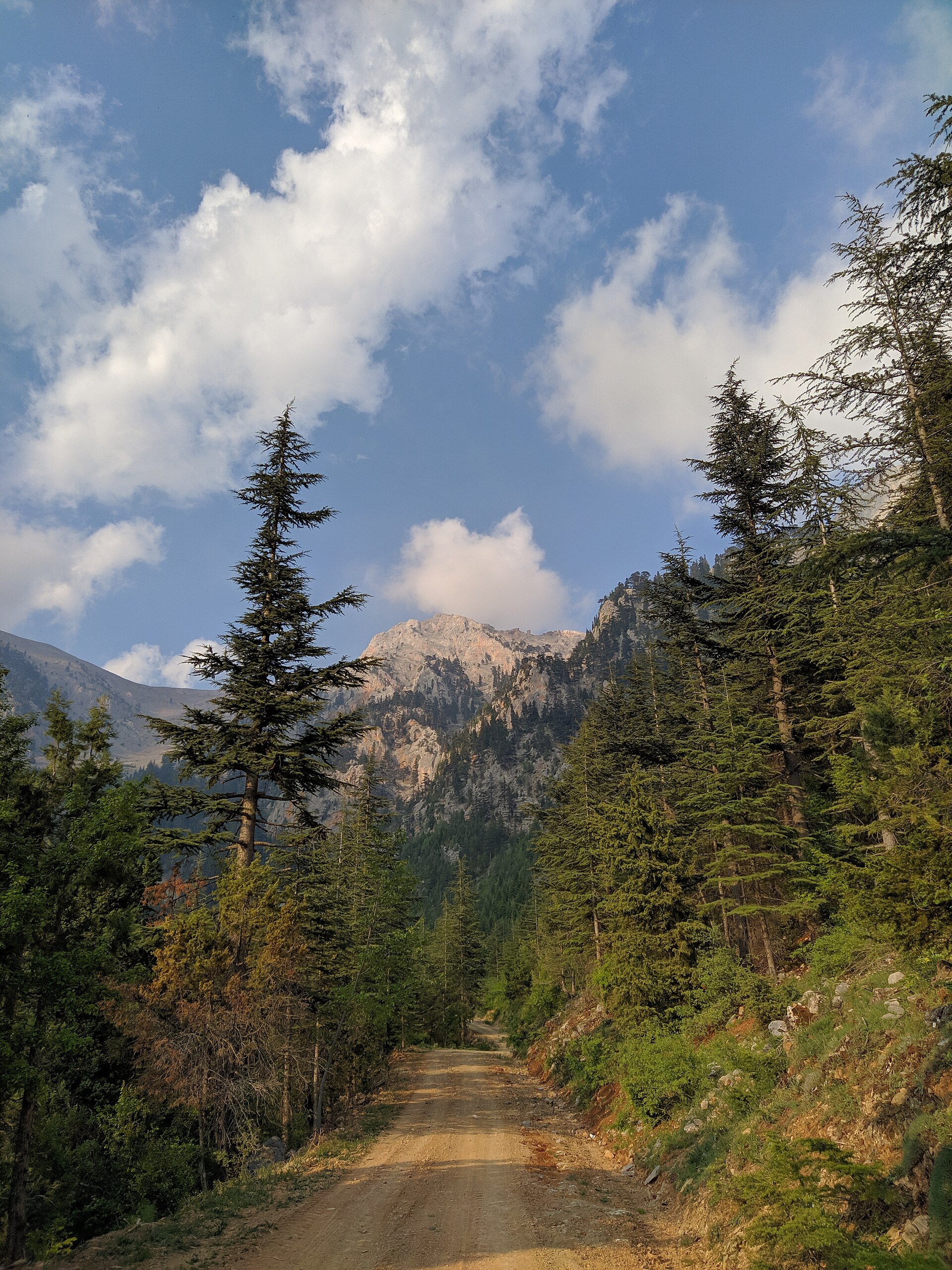 Unsealed mountain track among forest and rocky peaks in Turkey