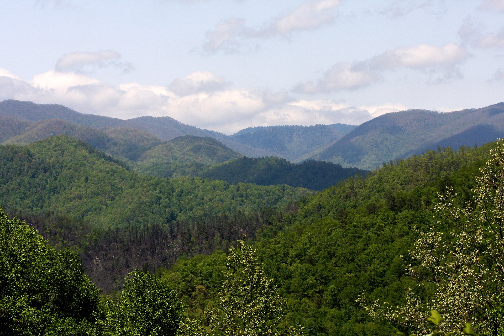Mountain ridges seen from the Blue Ridge Parkway in North Carolina